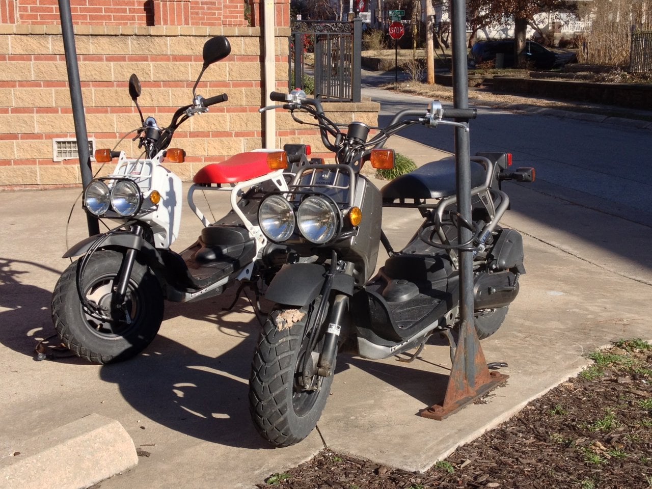 Honda Ruckus motorcycle — representative photograph