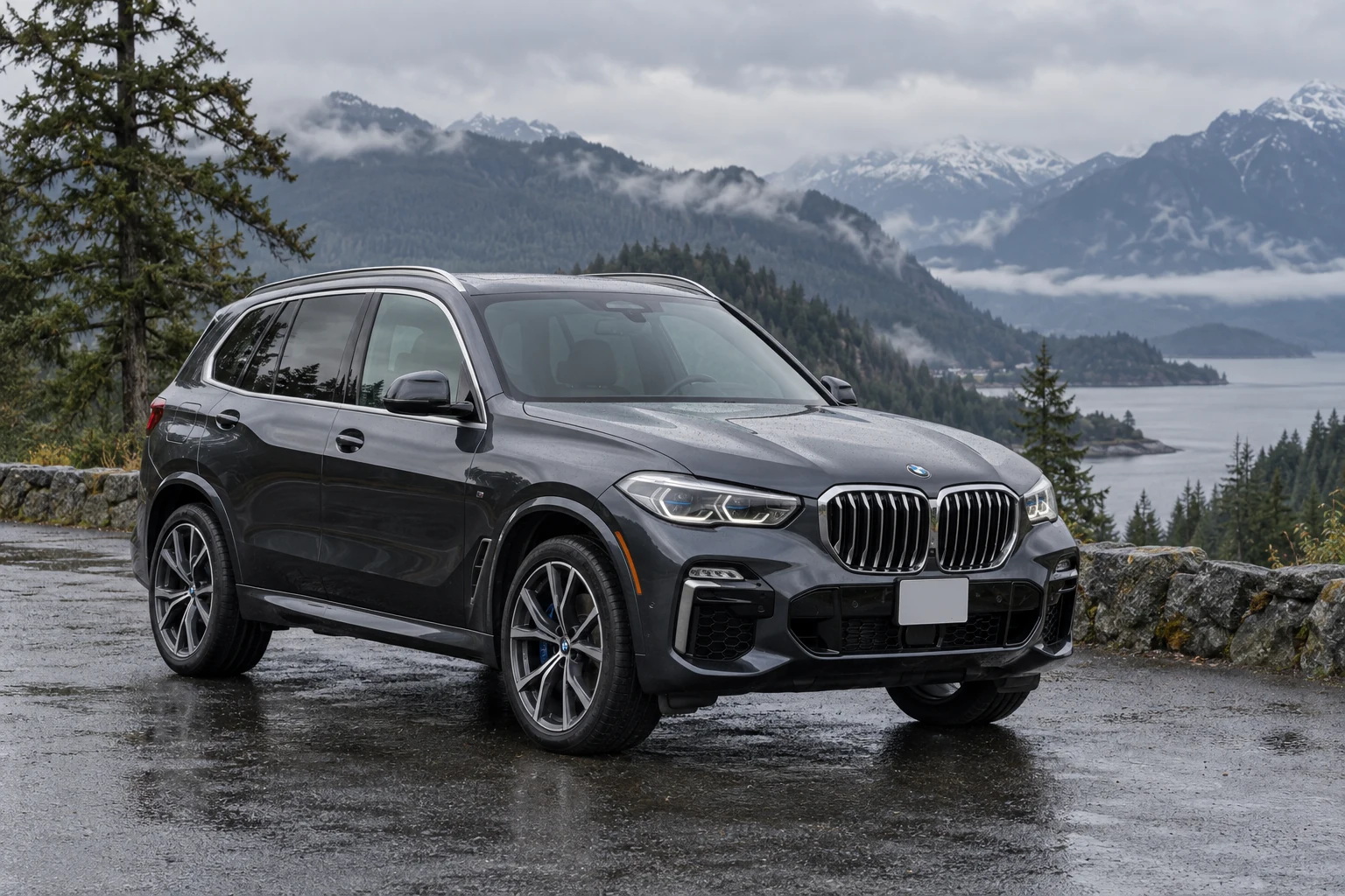 One 2022 BMW X5 representative of this body-style range