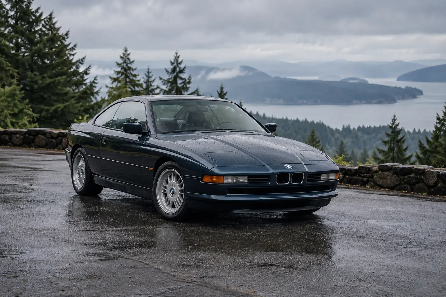 One 1988-1994 BMW 8 Series representative of this body-style range