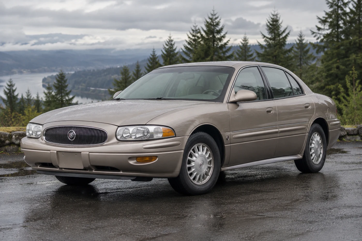 One 1992-1999 Buick LeSabre representative of this body-style range