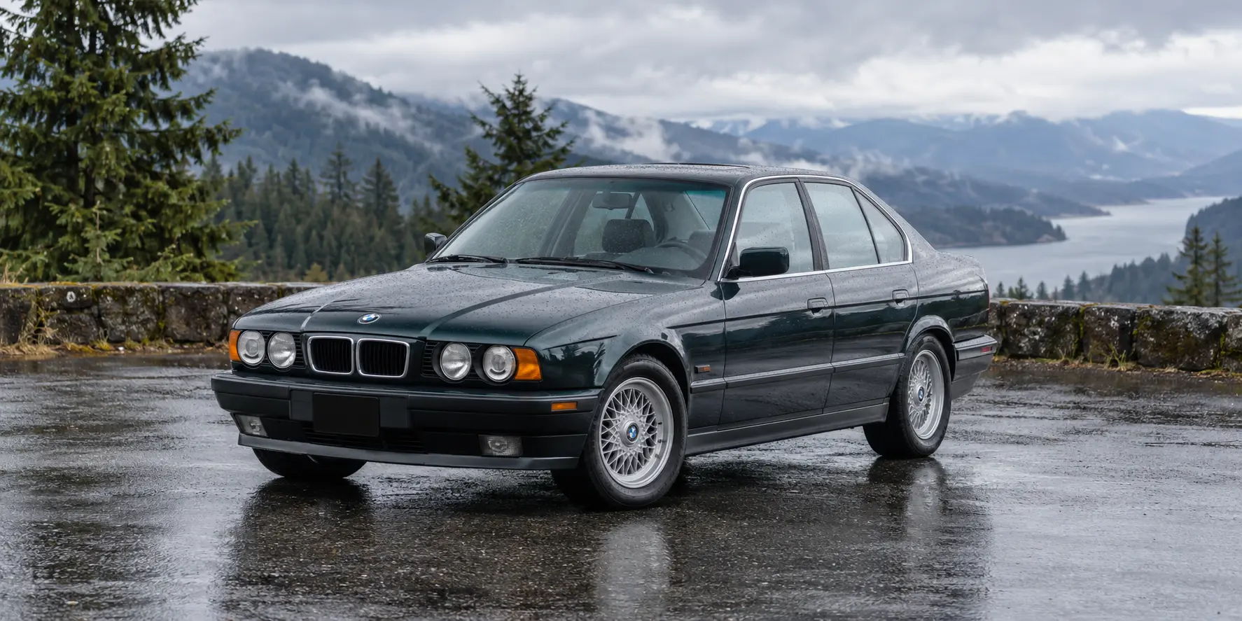 One 1995 BMW 5 Series representative of this body-style range