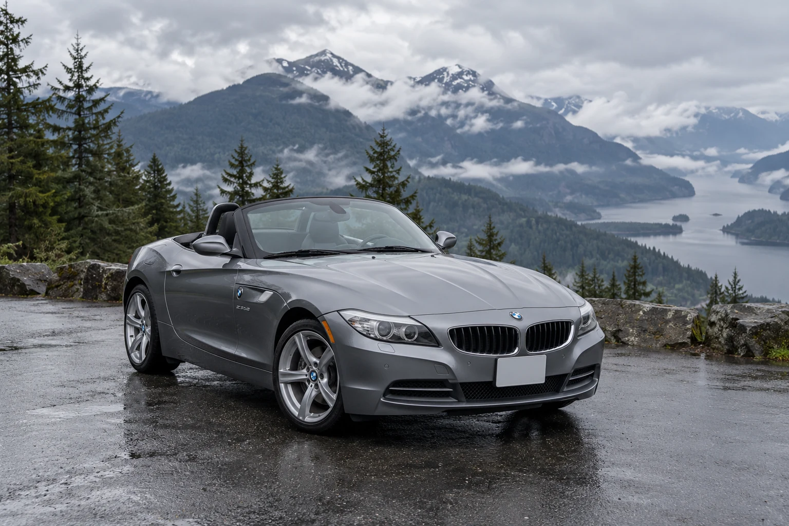 One 2009-2014 BMW Z4 representative of this body-style range
