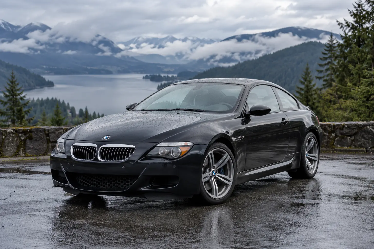 One 2008 BMW M6 representative of this body-style range