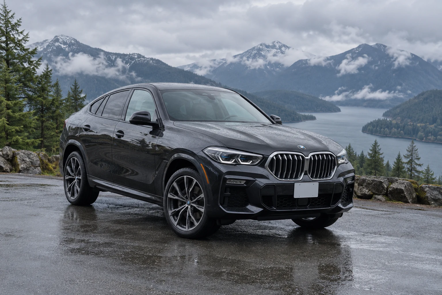 One 2019 BMW X6 representative of this body-style range