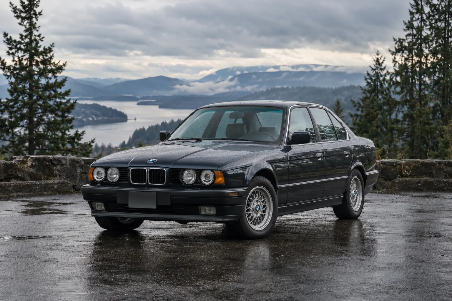 One 1988-1994 BMW 5 Series representative of this body-style range