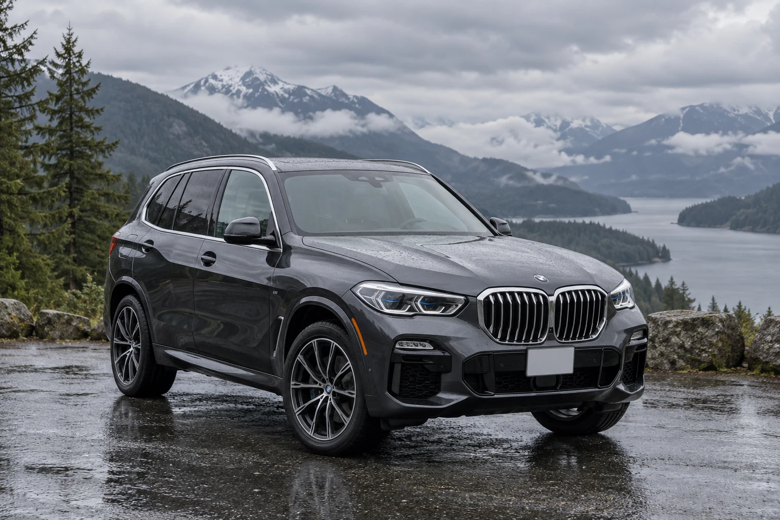 One 2019 BMW X5 representative of this body-style range