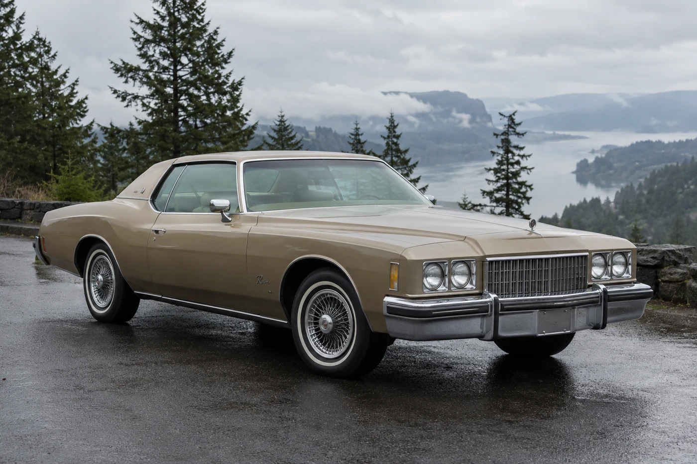 One 1977-1978 Buick Riviera representative of this body-style range
