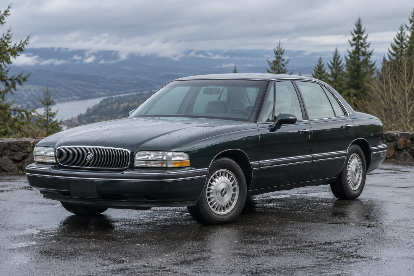 One 1991-1996 Buick Park Avenue representative of this body-style range