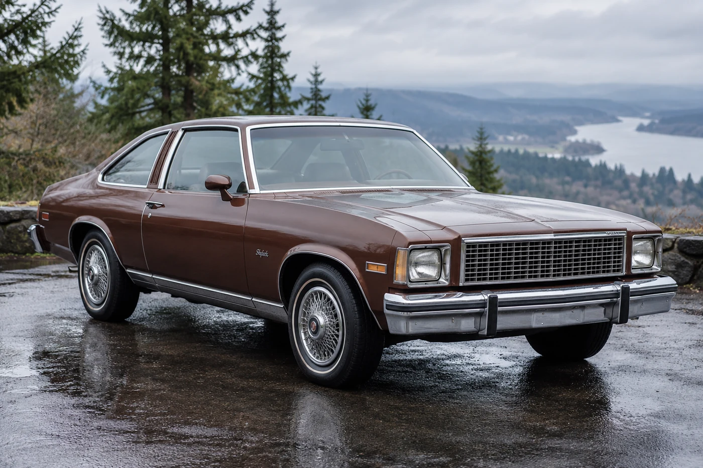 One 1975-1979 Buick Skylark representative of this body-style range