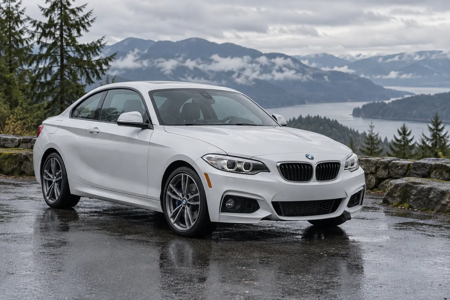 One 2014-2018 BMW 2 Series representative of this body-style range