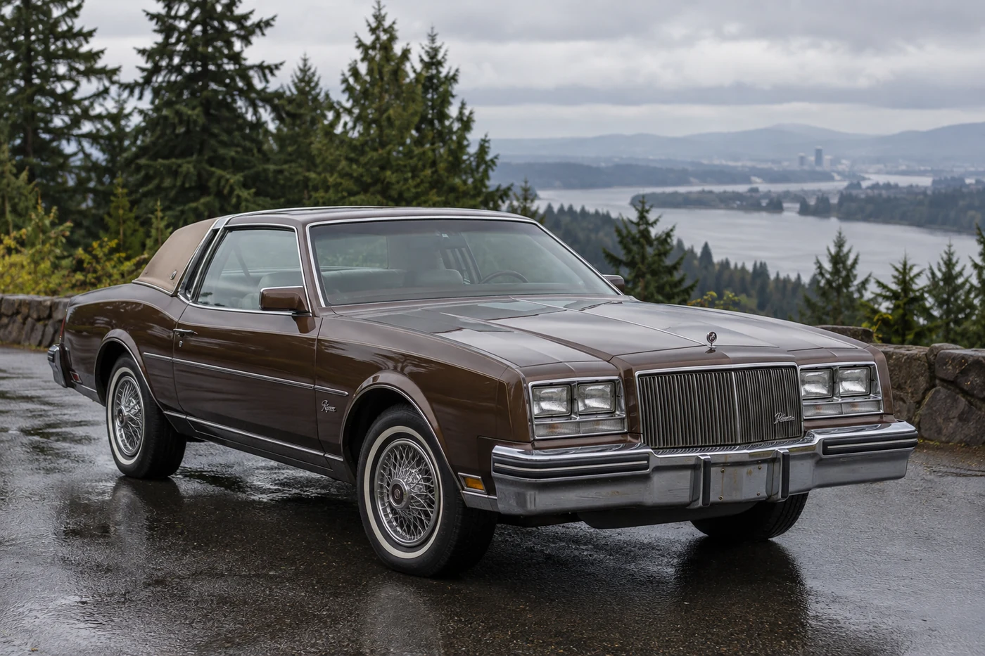 One 1979-1985 Buick Riviera representative of this body-style range
