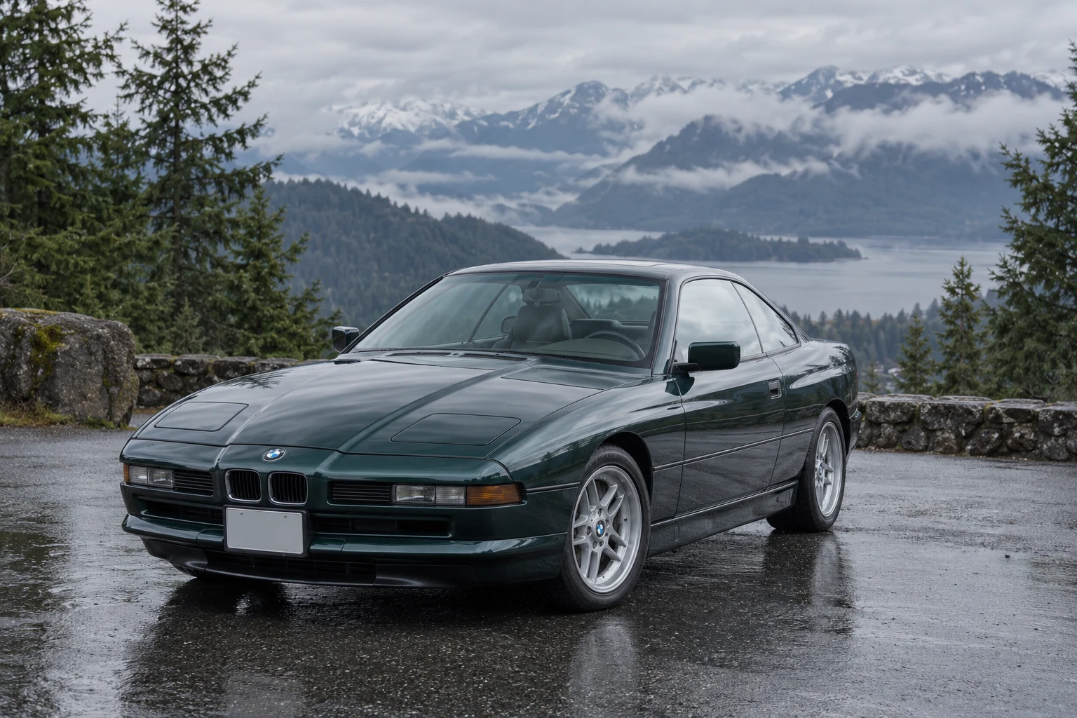 One 1995 BMW 8 Series representative of this body-style range
