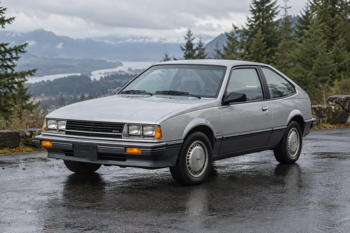 One 1982-1989 Buick Skyhawk representative of this body-style range