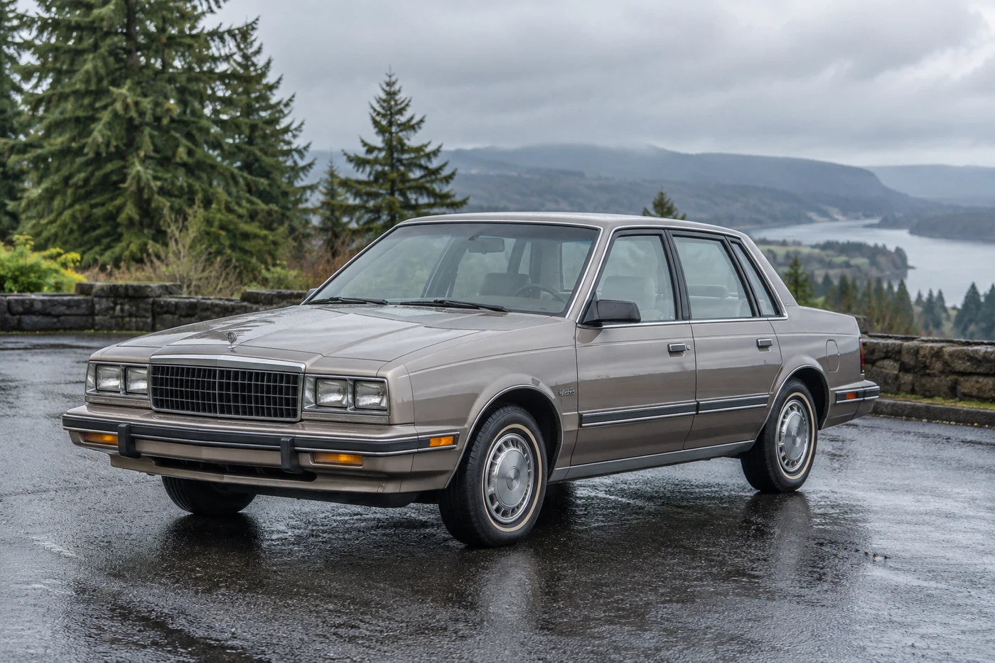 One 1980-1985 Buick Skylark representative of this body-style range