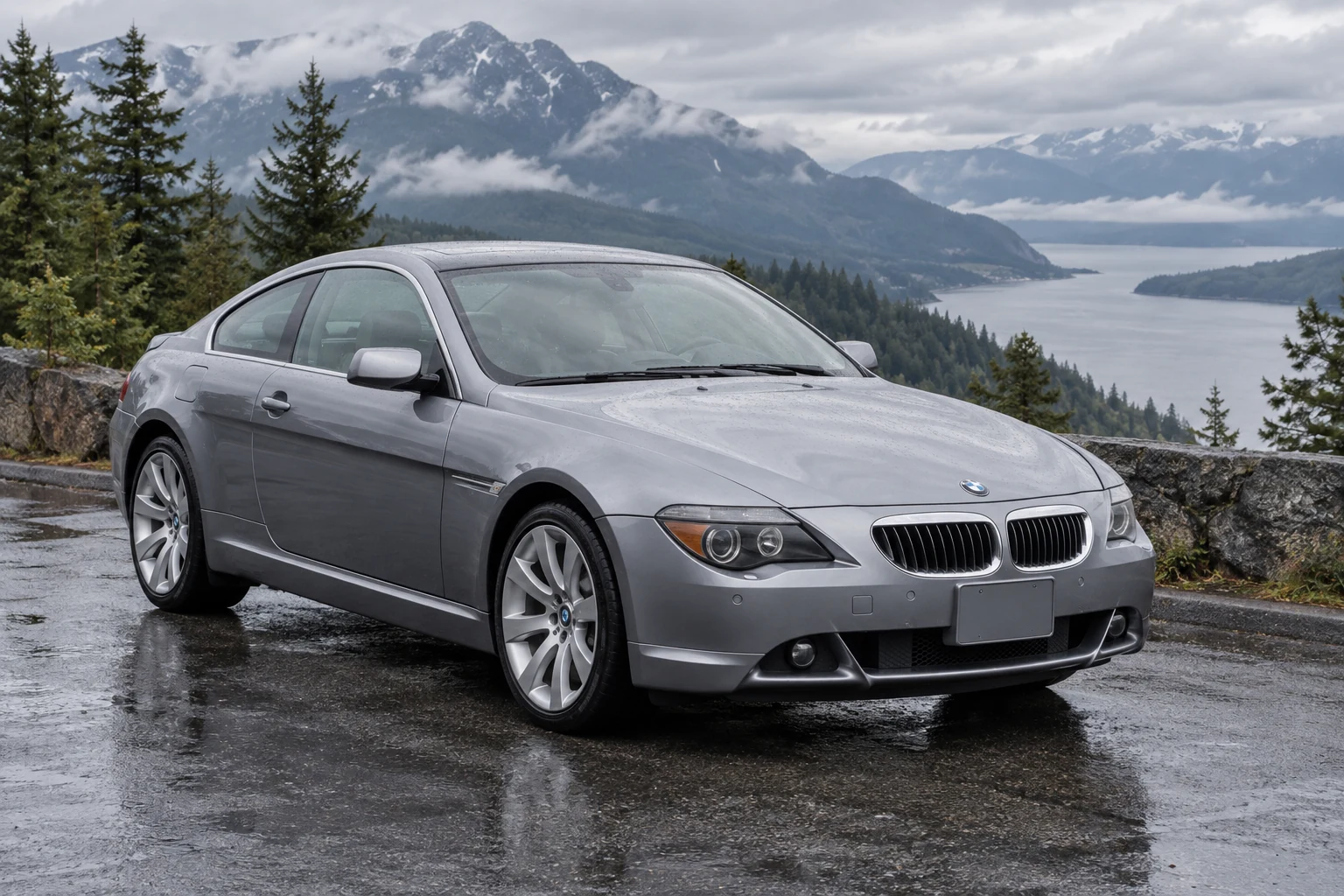 One 2000-2003 BMW 6 Series representative of this body-style range