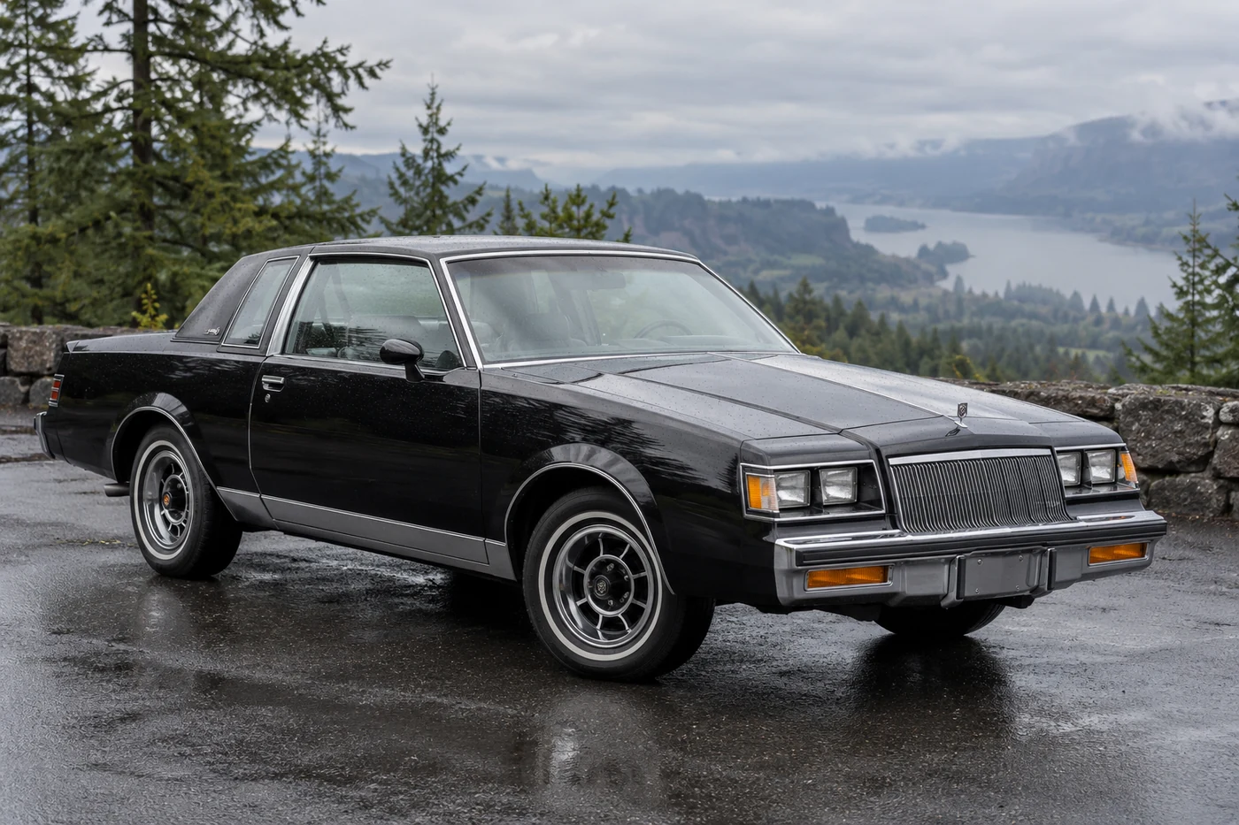 One 1978-1987 Buick Regal representative of this body-style range