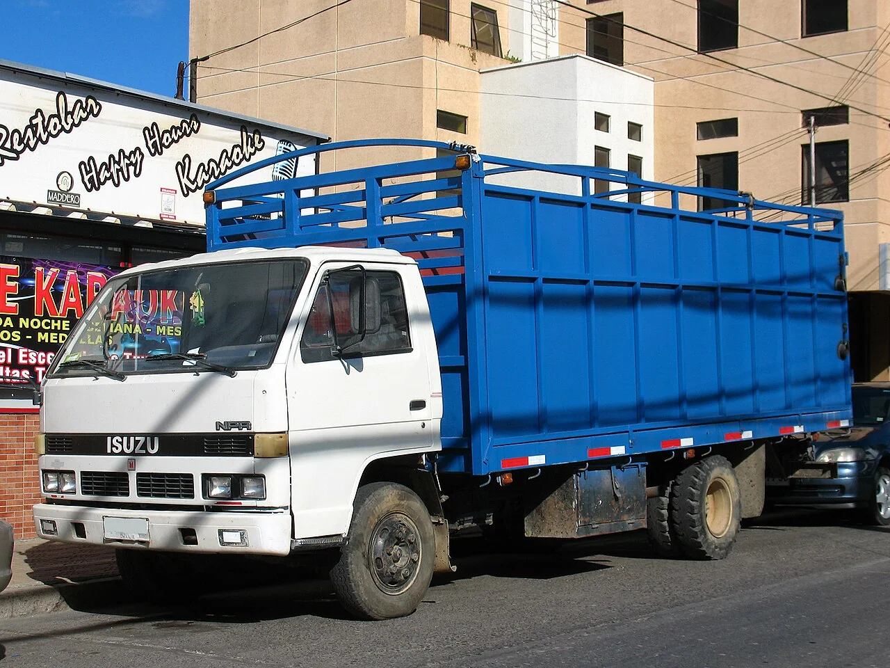 1993 Isuzu NPR shown as a representative of the same period N-series cab generation; model-year details vary.